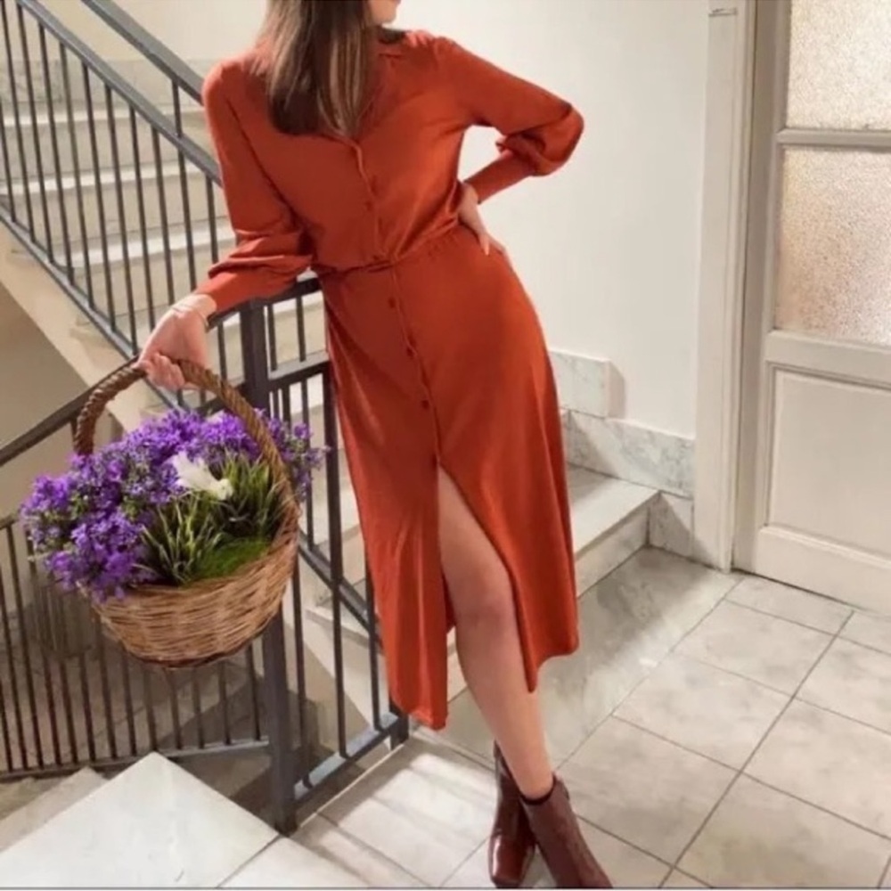 🌎 Zara Midi Dress